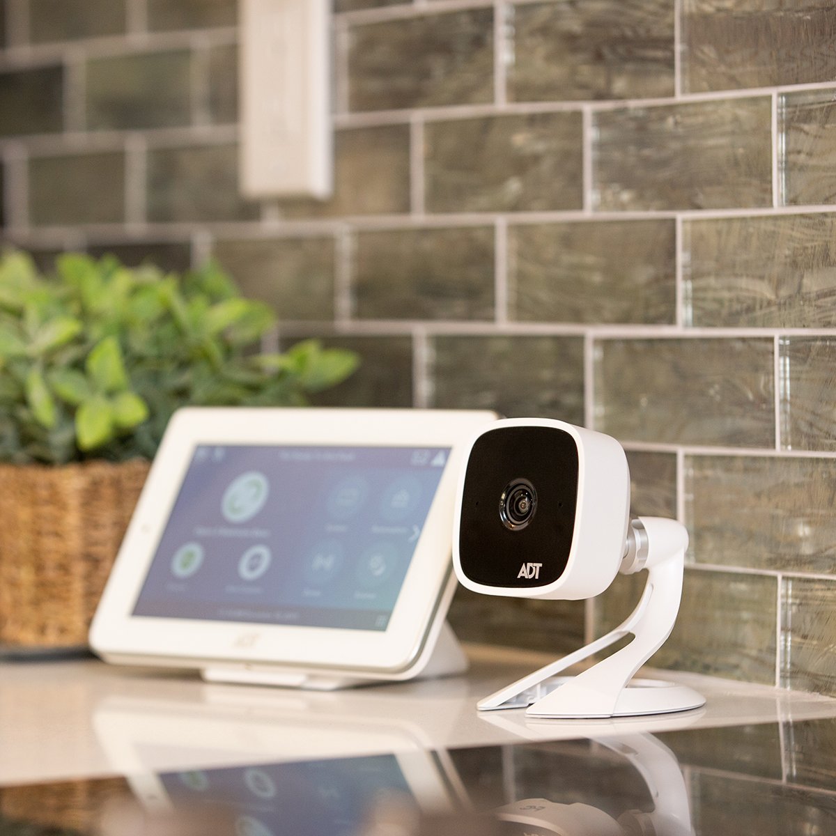 Bulldog Indoor Camera Installation