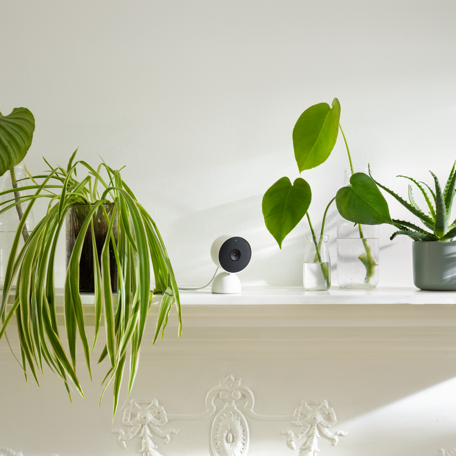 nest indoor white