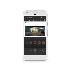 Google Nest Cam IQ Outdoor